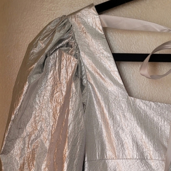 RACHEL ANTONOFF CHRISTA METALLIC SILVER DRESS - Picture 10 of 10